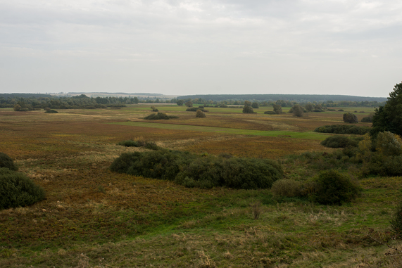 Hrubieszów turystycznie (11)