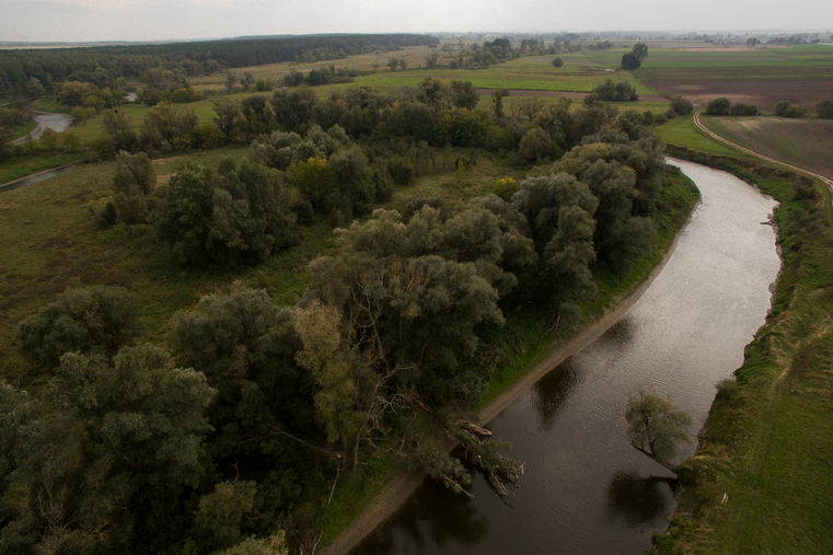 Hrubieszów turystycznie (13)